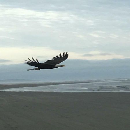 长滩碎浪度假村 外观 照片